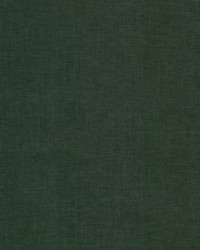 Cache 1 Bottle by  Stout 