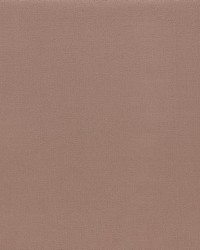 CADMIUM 1 ROSEWOOD by   