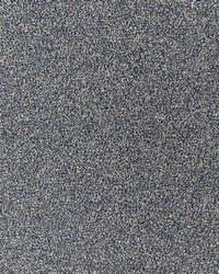 Cagney 2 Navy by  Stout 