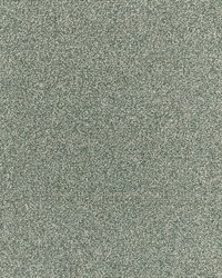 Cagney 3 Evergreen by  Stout 