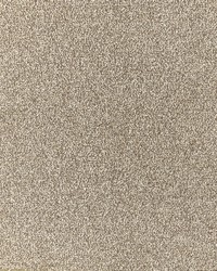 Cagney 4 Truffle by  Stout 