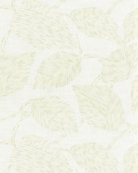 Cairo 2 Bamboo Cairo 2 Bamboo by