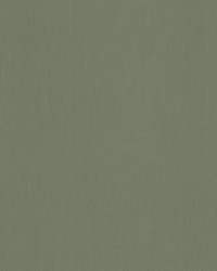 Caldwell 1 Sage by  Stout 