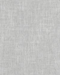 Callalily 1 Fog by  Stout 