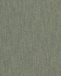 Capote 2 Sage by  Stout 