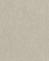 Cassago 1 Camel by  Stout 