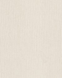 Cassago 2 Vanilla by  Stout 