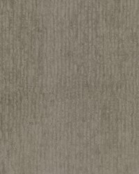 Cassago 3 Tawny by  Stout 