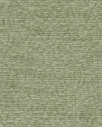 Cavalier 1 Balsam by   