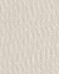 Chai 1 Platinum by  Stout 