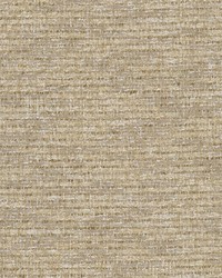 Charles 1 Driftwood by   