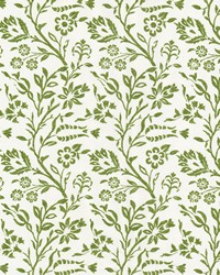 Cheboygan 2 Grass by   