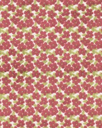 Chelsea 3 Beet by  Stout 