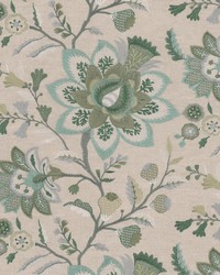 Chomp 1 Glacier by  Stout 