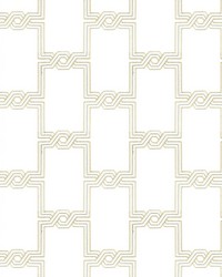 CIMATTI 3 STRAW CIMATTI 3 STRAW by