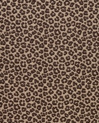 Citra 1 Brass by  S Harris 