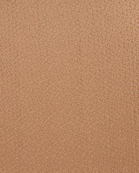 CITRA 2 COPPER by  S Harris 