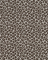 Citra 3 Storm by  S Harris 