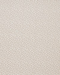 CITRA 4 CHROME by  S Harris 