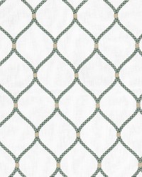 Concept 2 Jasmine by  Stout 