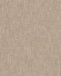 Connell 2 Harvest by  Stout 