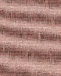 Connell 5 Shocking by  Stout 