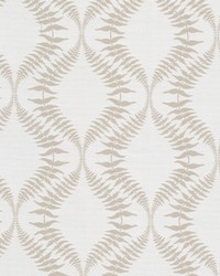 Contessa 2 Biscuit by  Stout 