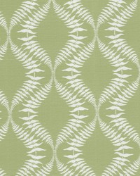 Contessa 3 Pistachio by  Stout 