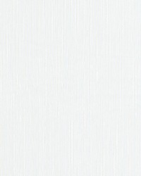 Coolidge 1 Eggshell by  Stout 