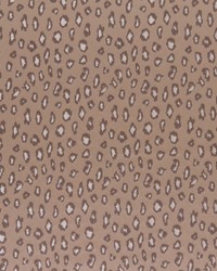 CORINTHEA 2 NUTMEG by  S Harris 