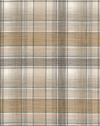 Corvette 1 Chestnut Corvette 1 Chestnut by