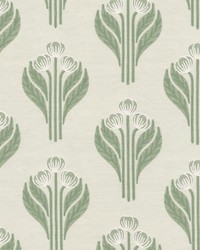 Cosenza 1 Spring by  Stout 