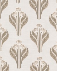 Cosenza 2 Biscuit by  Stout 