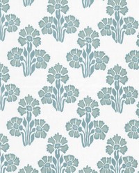 Craze 2 Aqua by  Stout 