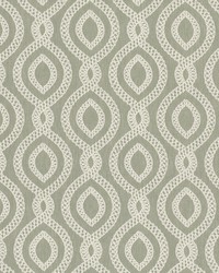 Crew 1 Sage by  Stout 