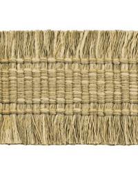 Cultivate Tape 3 Mushroom CULT-3 by   