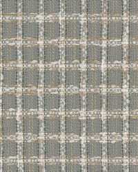 Curley 1 Granite by  Creative Fabrics 