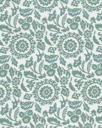 Daisey 4 Caribbean by  Stout 