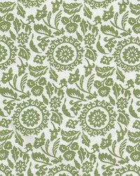 Daisey 5 Apple by  Stout 