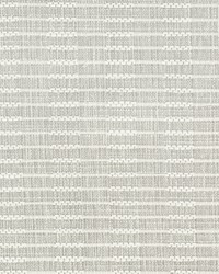 DAYDREAM 2 CARBON by   