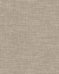 Daze 1 Sandune by  Stout 