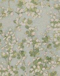 Debate 3 Seaglass by  Stout 