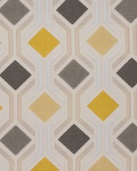 DECLAMATION 4 LEMON by  Stout 