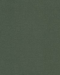 Decorum 2 Evergreen by  Stout 