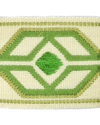 Dermotte Tape 4 Spring DERM-4 by   