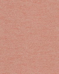 Desert 4 Coral by  Stout 