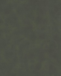 Determine 2 Hunter by  Stout 