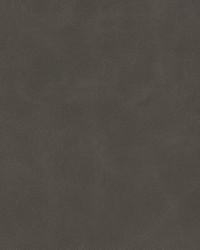 Determine 3 Espresso by  Stout 