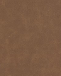 Determine 4 Cedar by  Stout 