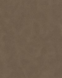 Determine 5 Fawn by  Stout 